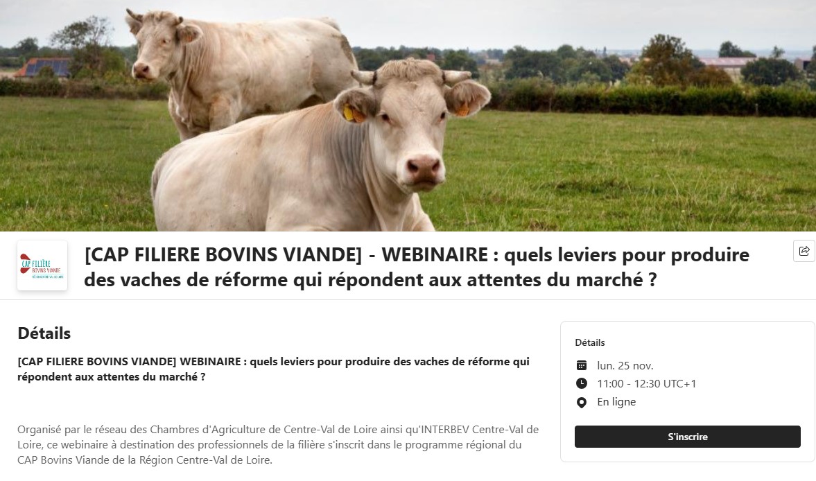 WEBINAIRE : CAP FILIERE BOVINS VIANDE