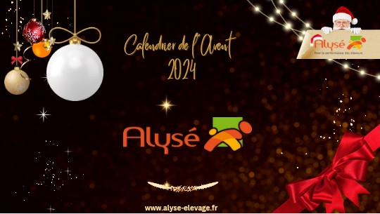 Calendrier de l'avent 2024